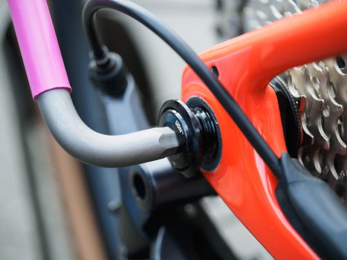 remove the SRAM UDH bolt